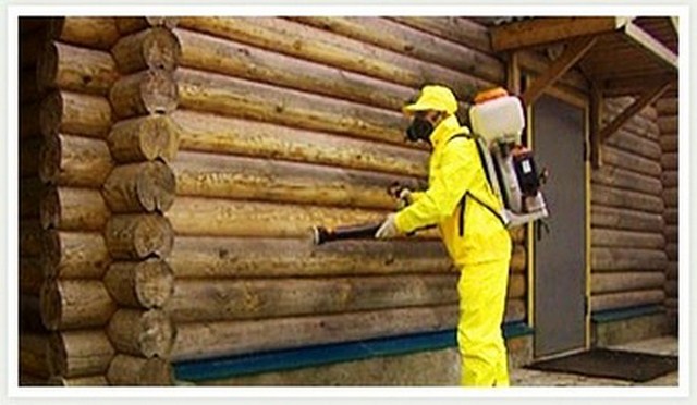 Защита древесины обработка