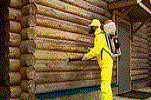 Антисептирование древесины стен дома
